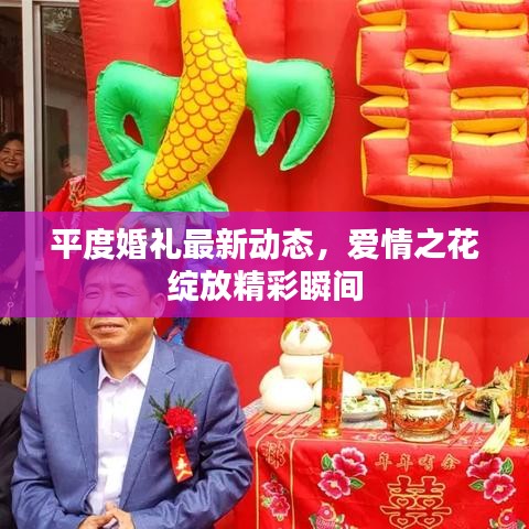 平度婚礼最新动态，爱情之花绽放精彩瞬间
