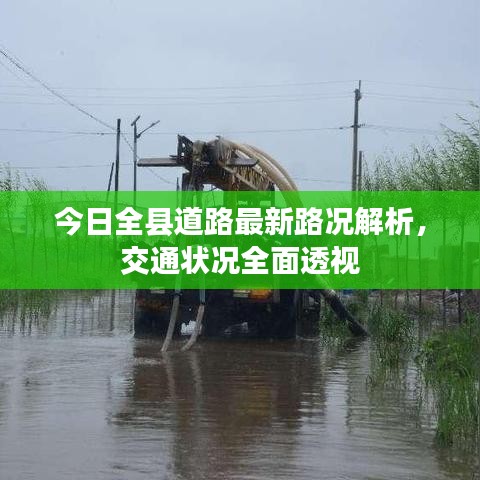 今日全县道路最新路况解析，交通状况全面透视
