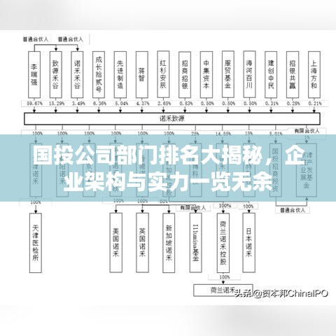 国投公司部门排名大揭秘，企业架构与实力一览无余