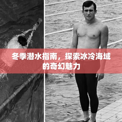 冬季潜水指南，探索冰冷海域的奇幻魅力