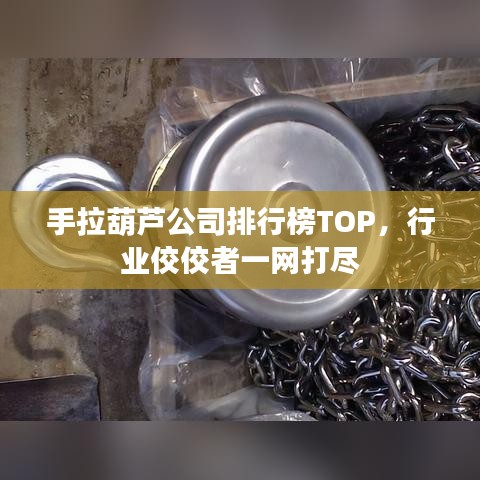 手拉葫芦公司排行榜TOP，行业佼佼者一网打尽
