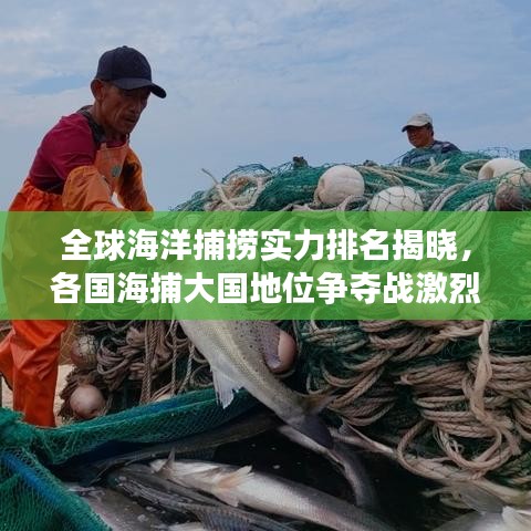 全球海洋捕捞实力排名揭晓，各国海捕大国地位争夺战激烈