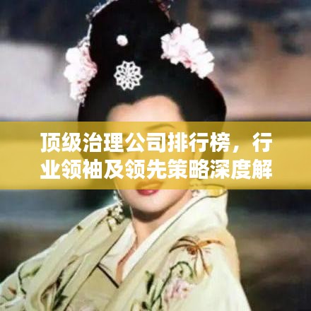 顶级治理公司排行榜，行业领袖及领先策略深度解析