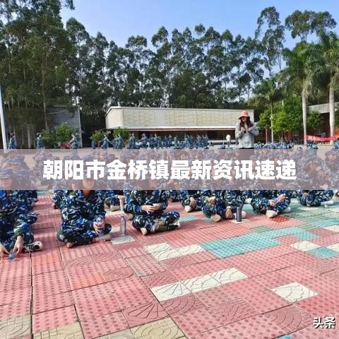 朝阳市金桥镇最新资讯速递