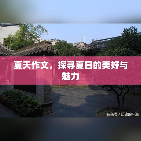 夏天作文，探寻夏日的美好与魅力