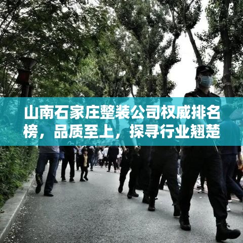山南石家庄整装公司权威排名榜，品质至上，探寻行业翘楚！