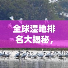 全球湿地排名大揭秘，探寻地球生态之心的关键所在