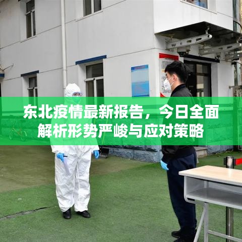 东北疫情最新报告，今日全面解析形势严峻与应对策略