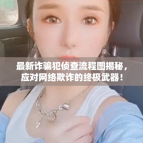 最新诈骗犯侦查流程图揭秘，应对网络欺诈的终极武器！