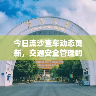 今日流沙查车动态更新，交通安全管理的最新关注与行动