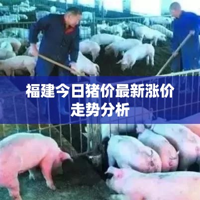 福建今日猪价最新涨价走势分析