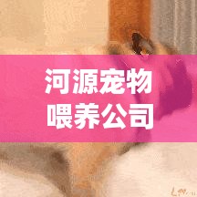 河源宠物喂养公司排名揭晓，专业服务品质与信誉的较量