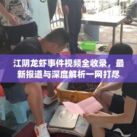 江阴龙虾事件视频全收录，最新报道与深度解析一网打尽
