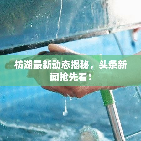枋湖最新动态揭秘，头条新闻抢先看！