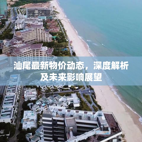 汕尾最新物价动态，深度解析及未来影响展望