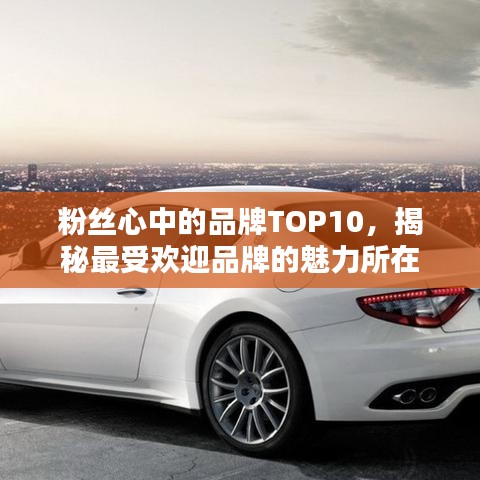 粉丝心中的品牌TOP10，揭秘最受欢迎品牌的魅力所在