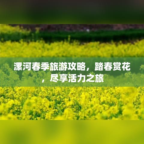 漯河春季旅游攻略，踏春赏花，尽享活力之旅