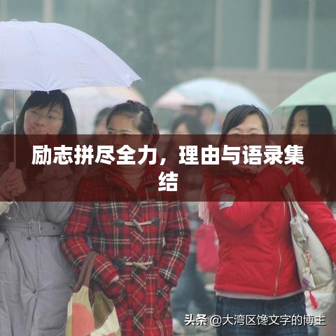 励志拼尽全力，理由与语录集结