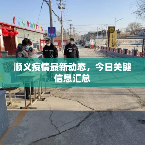 顺义疫情最新动态，今日关键信息汇总