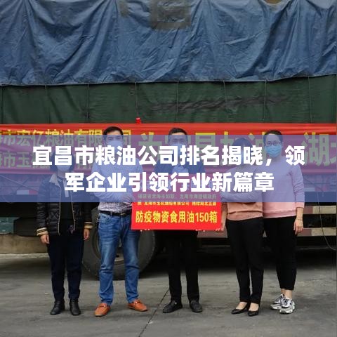 宜昌市粮油公司排名揭晓，领军企业引领行业新篇章