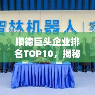 顺德巨头企业排名TOP10，揭秘地方巨头成功秘诀！