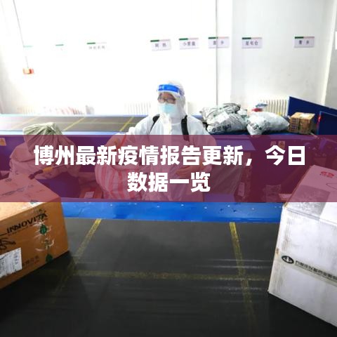 博州最新疫情报告更新，今日数据一览