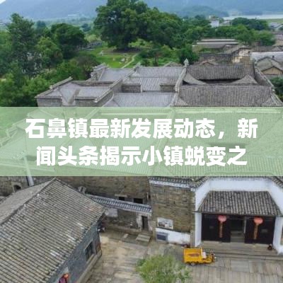 石鼻镇最新发展动态，新闻头条揭示小镇蜕变之路