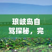 琅岐岛自驾探秘，完美旅程攻略，带你揭开神秘之岛的面纱！