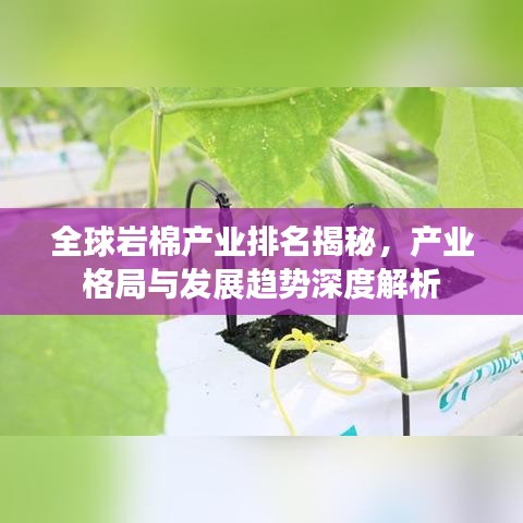 全球岩棉产业排名揭秘，产业格局与发展趋势深度解析