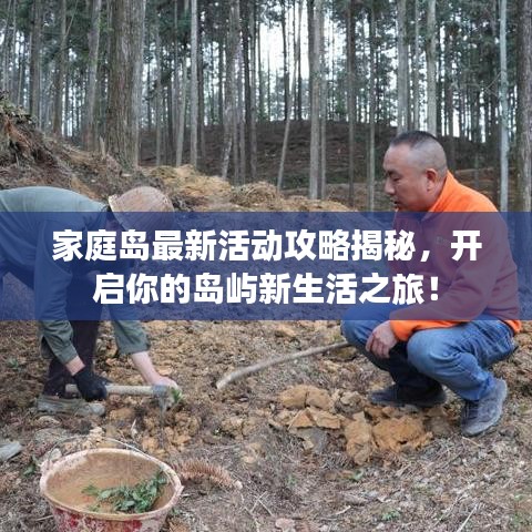 家庭岛最新活动攻略揭秘，开启你的岛屿新生活之旅！