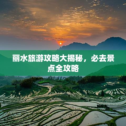新闻中心 第781页