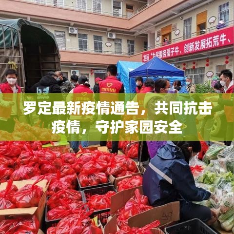 罗定最新疫情通告，共同抗击疫情，守护家园安全