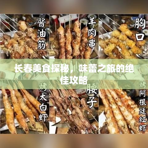 长春美食探秘，味蕾之旅的绝佳攻略