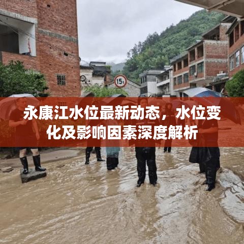 永康江水位最新动态，水位变化及影响因素深度解析