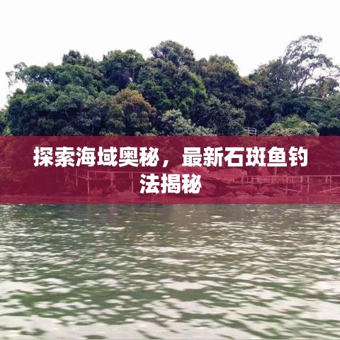 探索海域奥秘，最新石斑鱼钓法揭秘