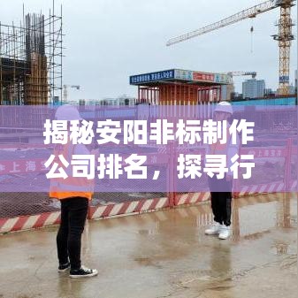 揭秘安阳非标制作公司排名，探寻行业领军者的成功秘诀