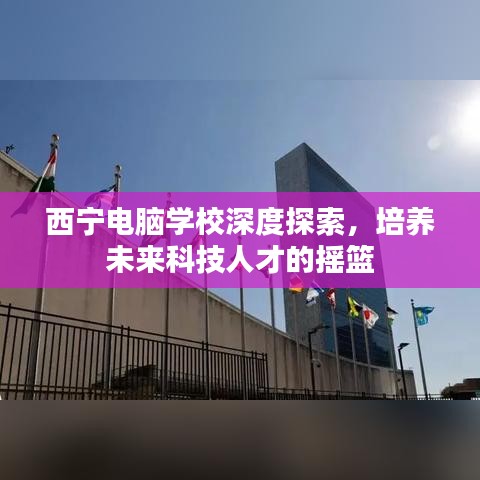 西宁电脑学校深度探索，培养未来科技人才的摇篮