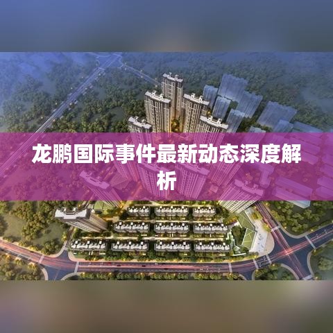 龙鹏国际事件最新动态深度解析