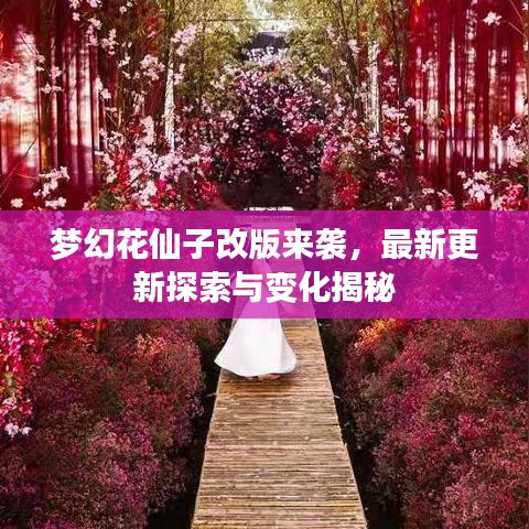 梦幻花仙子改版来袭，最新更新探索与变化揭秘