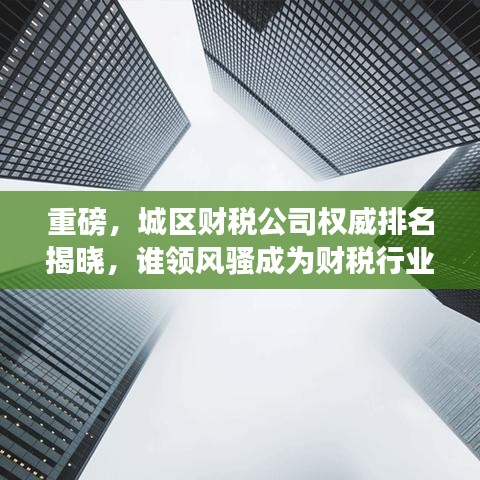 重磅，城区财税公司权威排名揭晓，谁领风骚成为财税行业领头羊？