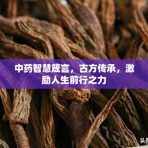 中药智慧箴言，古方传承，激励人生前行之力
