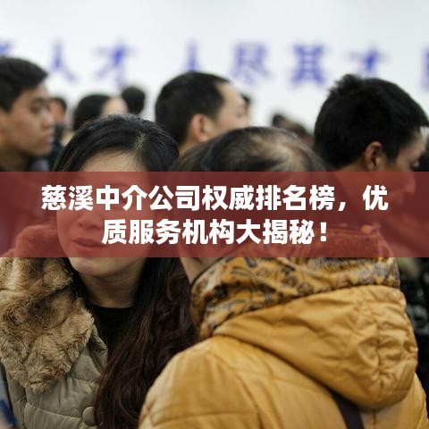 慈溪中介公司权威排名榜，优质服务机构大揭秘！