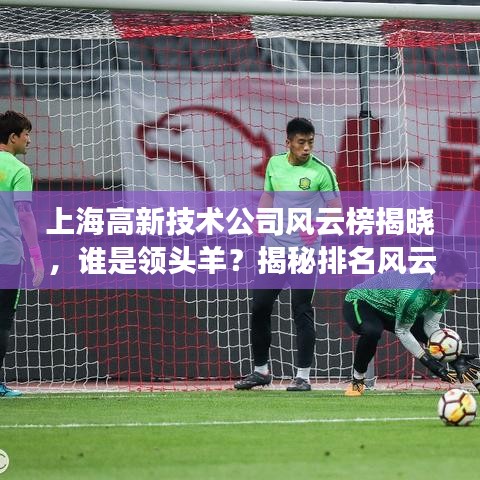 上海高新技术公司风云榜揭晓，谁是领头羊？揭秘排名风云激荡！
