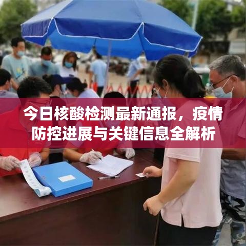 今日核酸检测最新通报，疫情防控进展与关键信息全解析