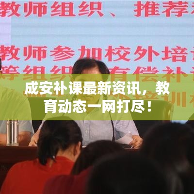 成安补课最新资讯，教育动态一网打尽！