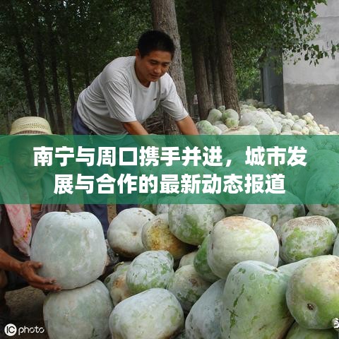 南宁与周口携手并进，城市发展与合作的最新动态报道