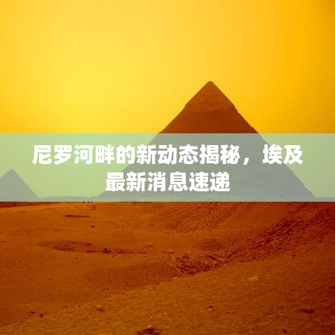 尼罗河畔的新动态揭秘，埃及最新消息速递