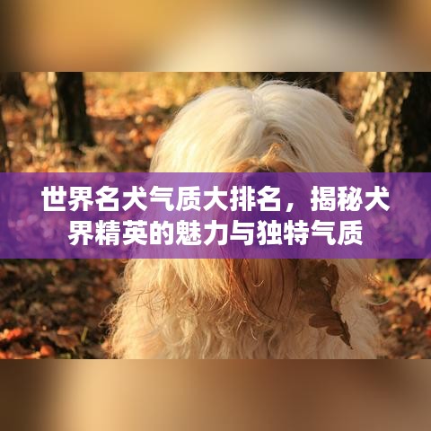 惊弓之鸟 第3页