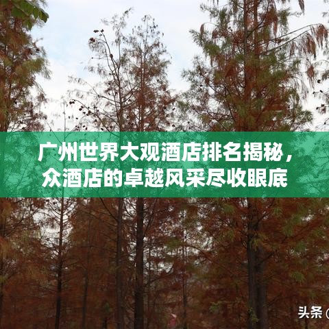 广州世界大观酒店排名揭秘，众酒店的卓越风采尽收眼底
