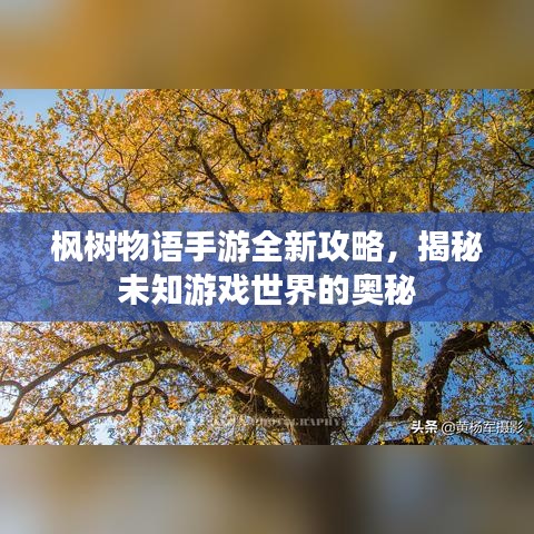 明目张胆 第2页